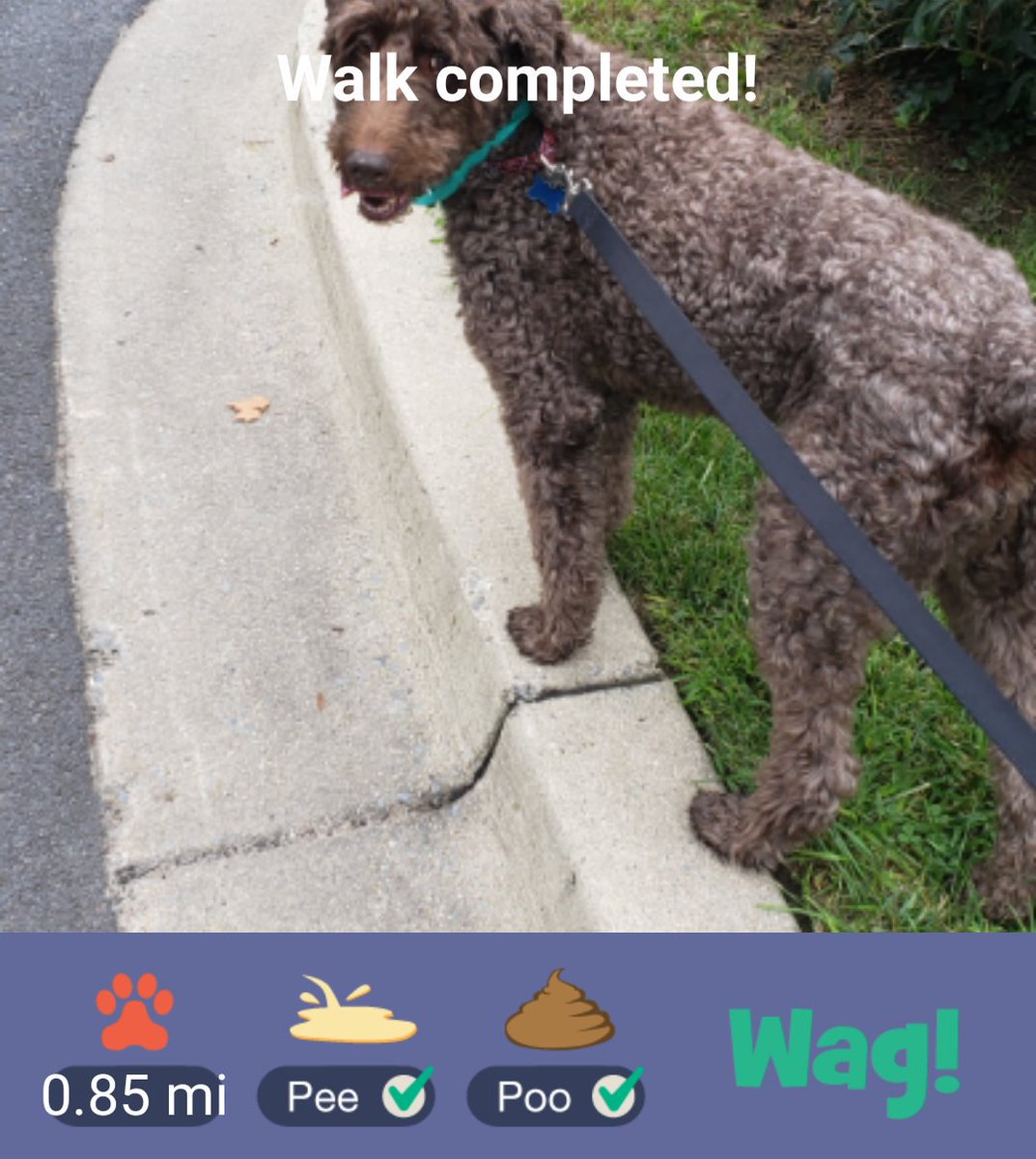 ChefKnight's tweet image. Just Finished a dog walk on Wag! Use my promo code LAURA6550 for $50 in FREE Wag! credit! Play store: goo.gl/zJmGA8