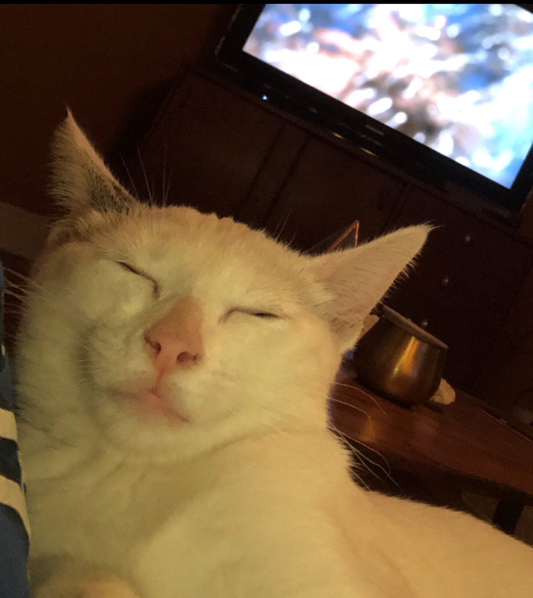 aka_beezyy's tweet photo. When the edibles hit https://t.co/brVwC7unyS