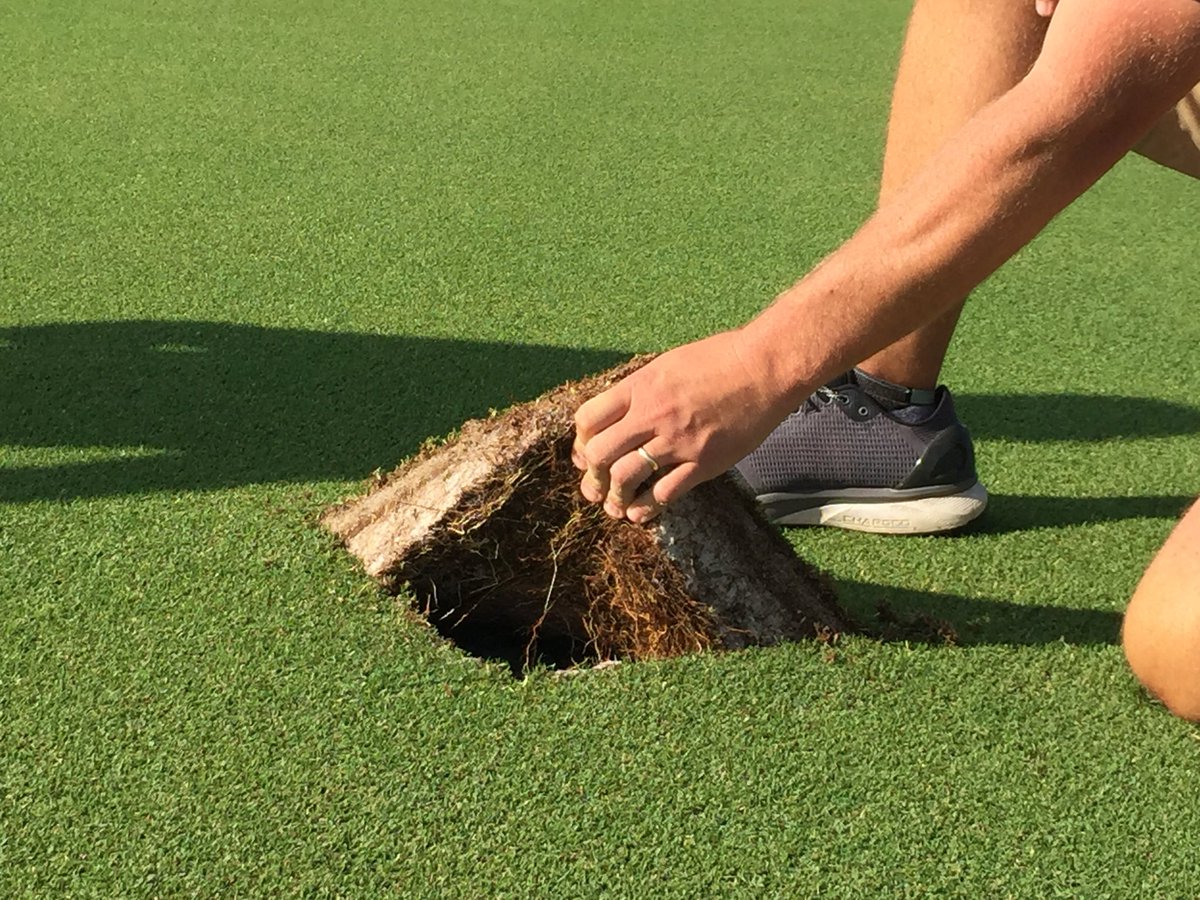 AuburnAg's tweet photo. This is where the turf at Jordan-Hare starts - along with the turf of several SEC, NFL and MLB stadiums. Watch for Bent Oak Farm and Auburn turf alum Richard Wilt on the next episode of @APTV’s “Spotlight on Agriculture,” airing in November. #ThisIsOurWork https://t.co/B9MMplTI87