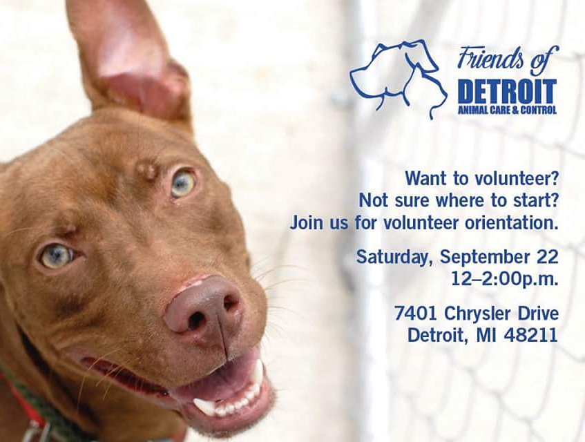 Friends of DACC tweet media