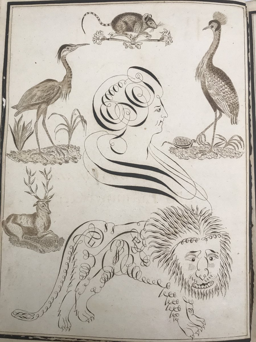 MTDvercelli's tweet photo. Sorprese speciali in Biblioteca Capitolare...dai fogli di guardia della "Relazione alla Serenissima Repubblica di Venezia" del cav. Mario Foscarini del 1743 #mtdvercelli #biblioteca #Venezia https://t.co/VZm7QwTfQb