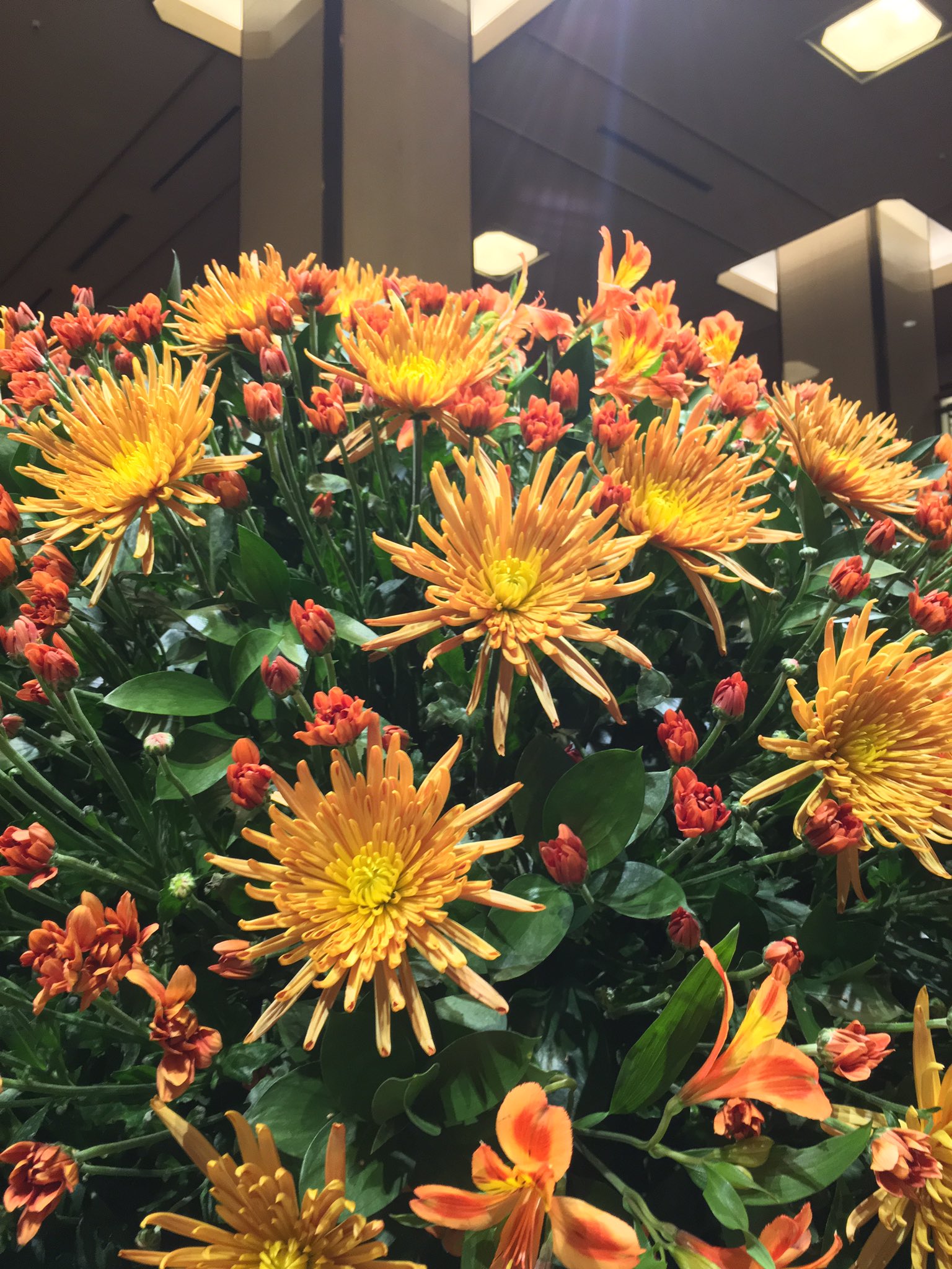 ケンケン Di Twitter 帝国ホテル東京の装花が変わりました 花の名前は アナスタシア 花言葉は 高貴 高尚 高潔 とスプレーマム 花言葉は 清らかな愛 高潔 です 写真好きな人とつながりたい 帝国ホテル東京 T Co Lvu0dl1yzi Twitter