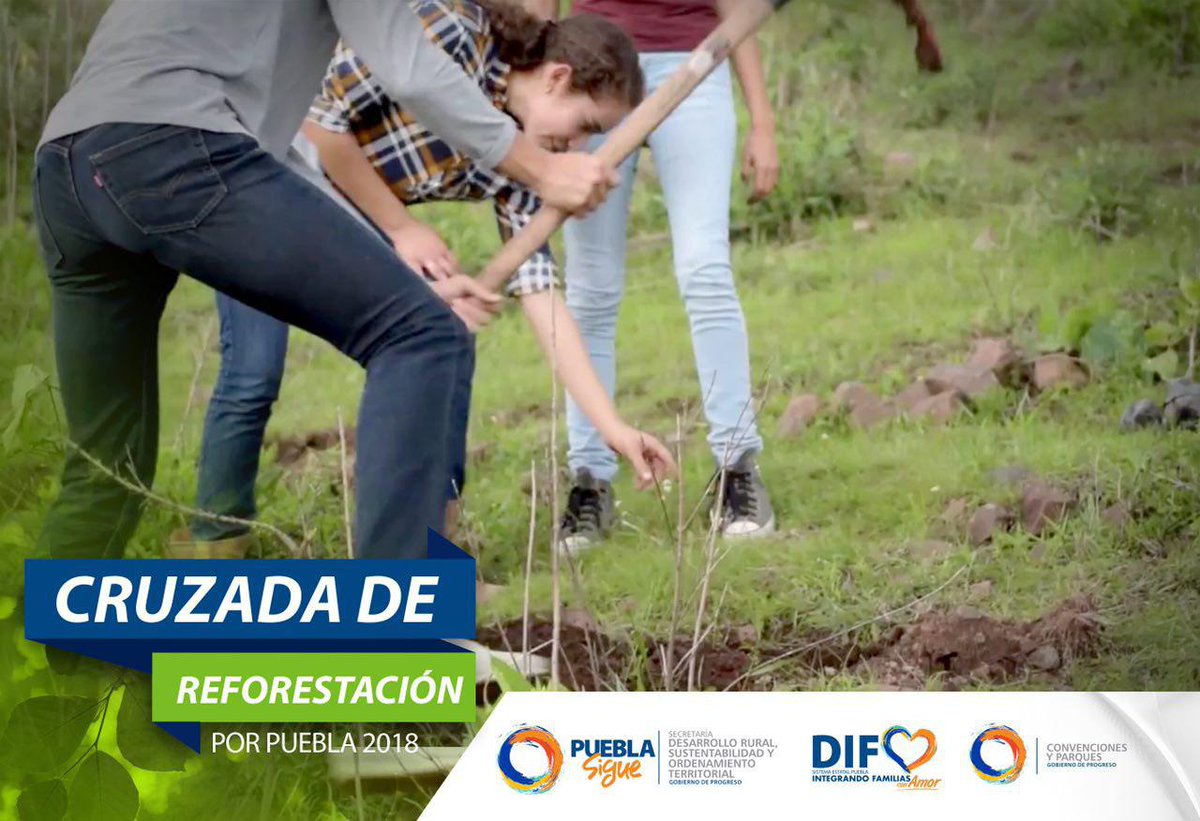 ¡Pongamos manos a la tierra y sembremos miles de árboles! Intégrate a la Cruzada de #ReforestaciónPuebla que se llevará a cabo el sábado 22 de septiembre en lugares como: Parque de la Niñez y Paseo del Río Atoyac. Conoce los otros puntos a rehabilitar bit.ly/2pnCT5B