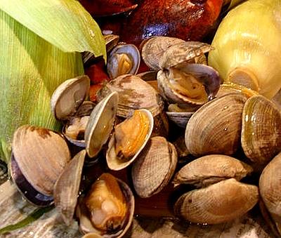 piccolomayfield's tweet photo. Fall is in the air...cozy up tonight with our delectable lasagna. Then swing back on Sunday for our annual Clambake menu!! Clambake $22.95 2-3pm, $27.95 4-9pm
#italianfood #clams #clambake #piccoloitalian #piccolomayfield #italianrestaurant #Catering https://t.co/QE3k1ZWeRH