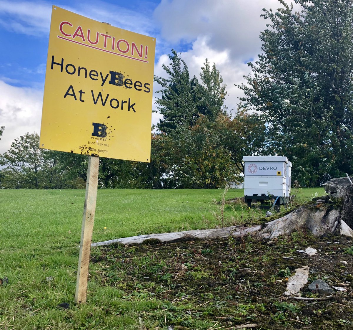 planbeeltd's tweet photo. “The world is beautiful outside when there are #bees in it”
- @DevroBees

Thanks @DevroPLC @Devrocomms for being a #BusinessForBees
#GenerationBee #SavetheBees https://t.co/3D57VIuXZ5