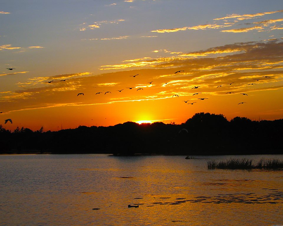 An orange sunset colors the sky above a lake bordered with trees.