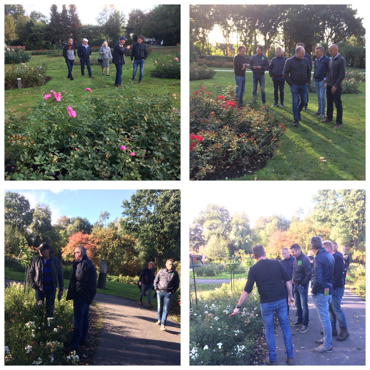 Ledenbijeenkomst Cultuurgroep Rozen en Rozenonderstammen  dit jaar in Groningen, o.a. Rosarium Winschoten <a href="/ANTHOS_ORG/">ANTHOS</a>