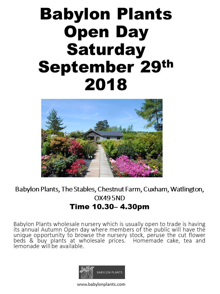 rickbabylon's tweet photo. Autumn Open Day is but a week away. Looking great out there and lots of plants to replace those killed by the beastly summer weather. https://t.co/vMyelJSpMH