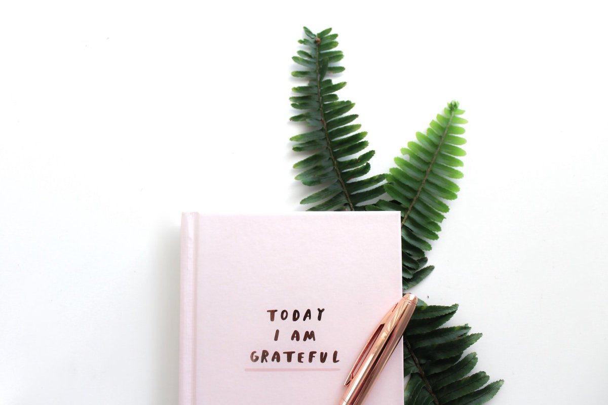 Happy #WorldGratitudeDay 💛
What are you grateful for? #gratitude