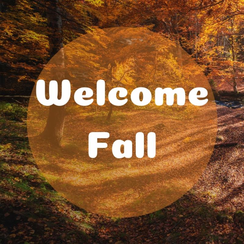 Fall is all about the fun in #SF!   Here's "7 Reasons to Visit San Francisco This Fall" by <a href="/TravelLeisure/">Travel + Leisure</a>! tandl.me/2pmTV3O