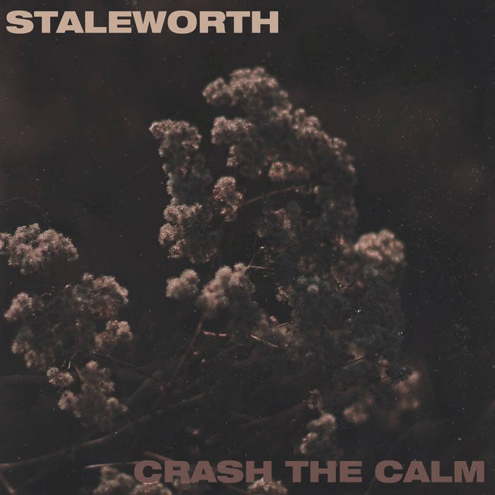 Check out this interview with Staleworth's Brett Baehr and  @crashthecalm Brian Dowling!
originalrock.net/2018/09/21/int…
