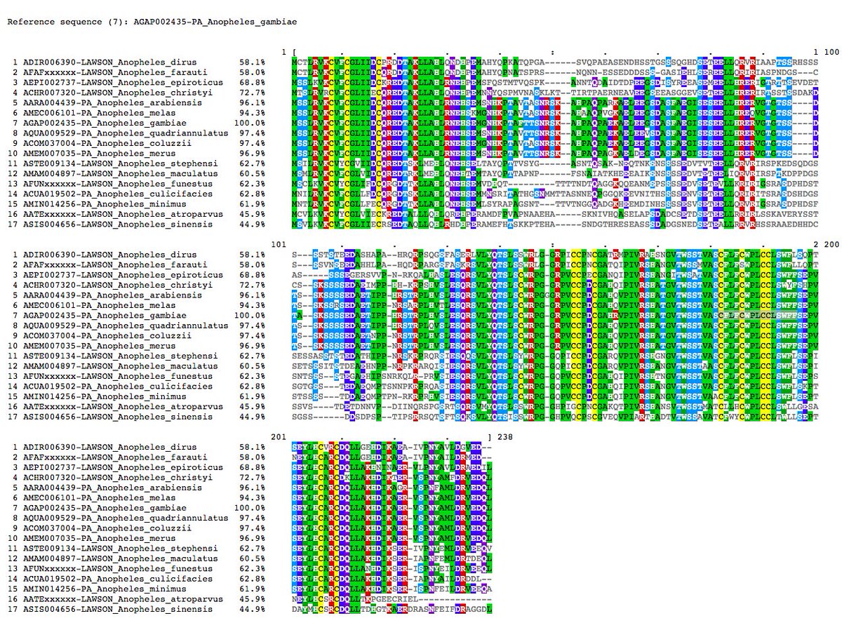 VBannotator's tweet image. LL5, lipopolysaccharide induced TNF alpha transcription factor 5. 3 novel and 6 edits. Nyssorhynchus are either absent or too far diverged for simple pairwise similarity searches. #Anopheles #VBannotation