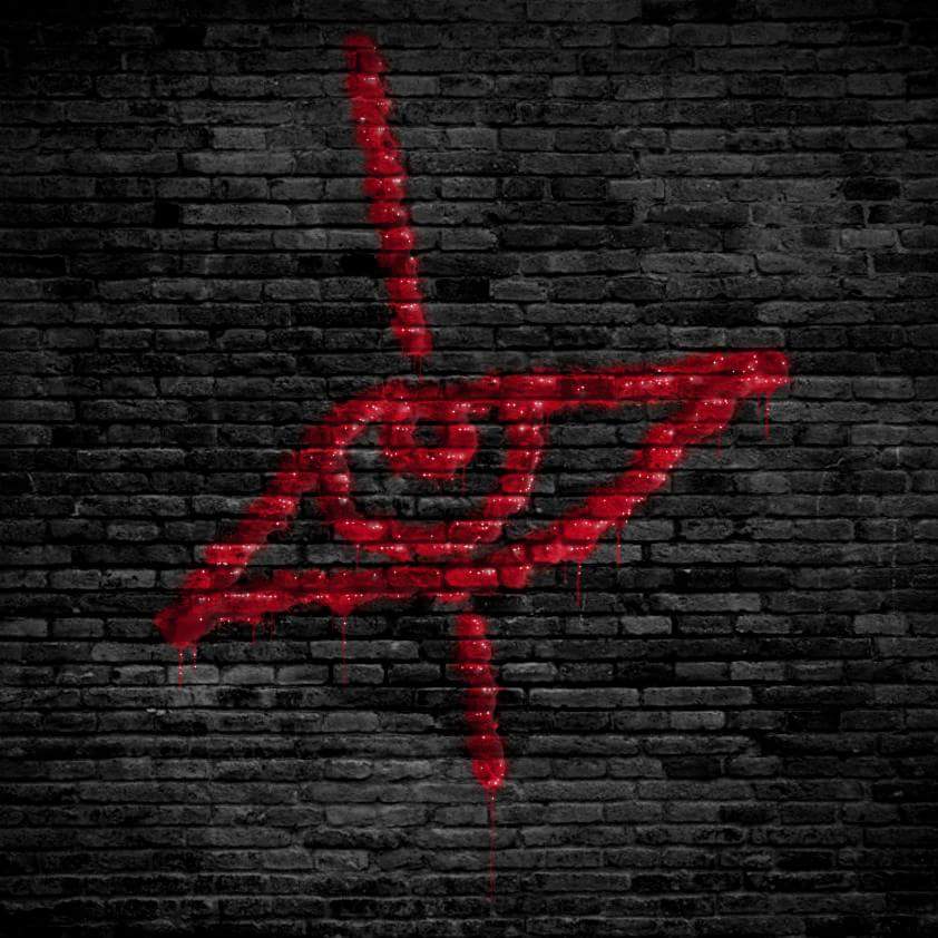 Orbit Shed tweet media