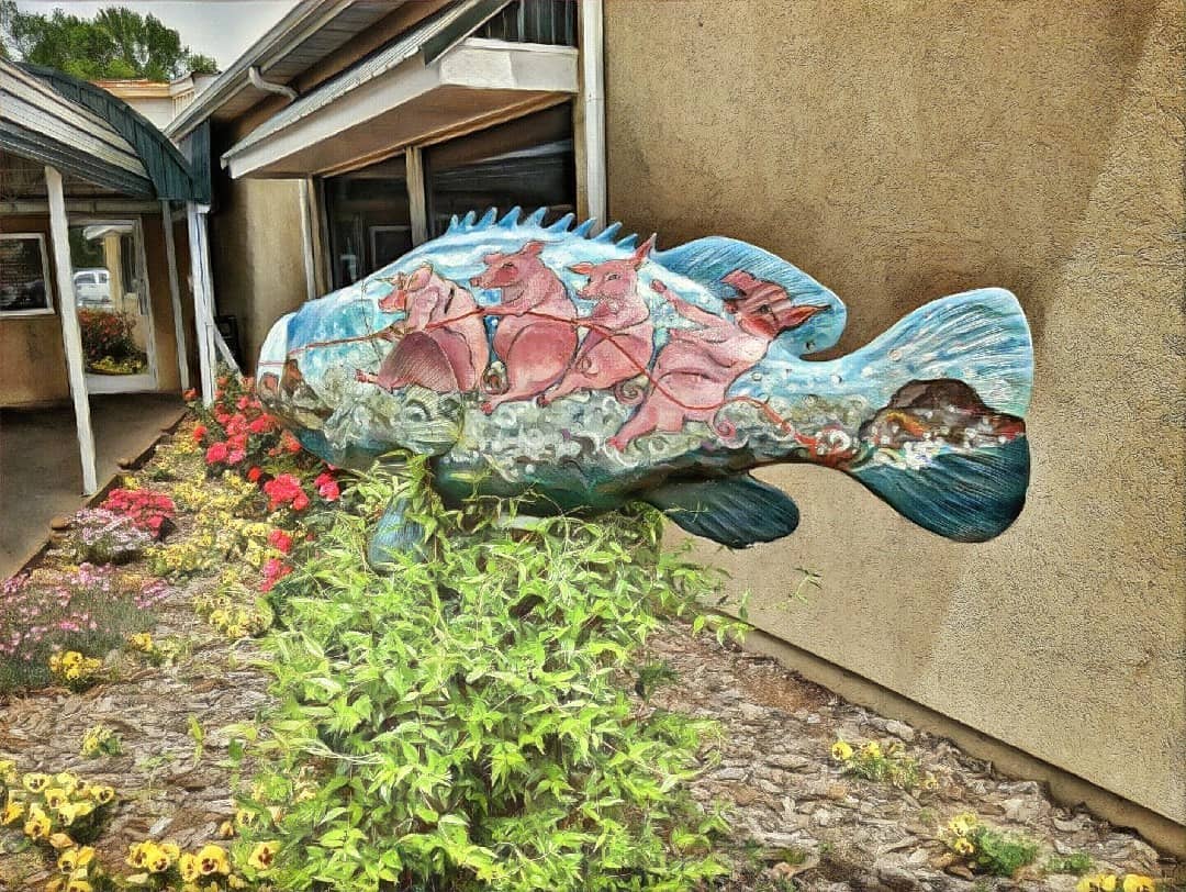 visithalifaxnc's tweet photo. One of our favorite #RoanokeValleyRocks in Weldon, representing our world class fishing and certified delicious BBQ. Everything a person could need. 😉
(📸: @ganzandere) #DiscoverHalifaxNC #WeldonNC #RalphsBBQ https://t.co/GaLmBFs6d7