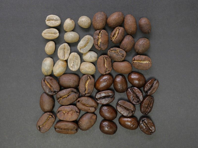 QueenBeanCoffee's tweet photo. #TipOfTheDay The amount of oil on a #coffee bean is a good indicator of how dark it is roasted. No oil means it is a light or medium roast and significant oil means it is likely pushing towards an Italian roast -- this is a much better gage than bean color! 

#TheQueenBean https://t.co/QL7uqAMDiT
