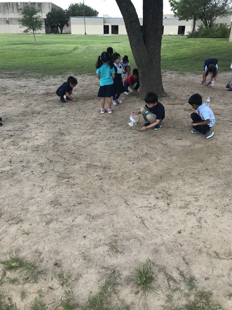 MrWagnerNE's tweet photo. The next group of geologists is in my classroom doing great things #LiestmanProud #AliefScience #TeamKinder @LiestmanScience @AliefScience https://t.co/GfeLYJ1g6B