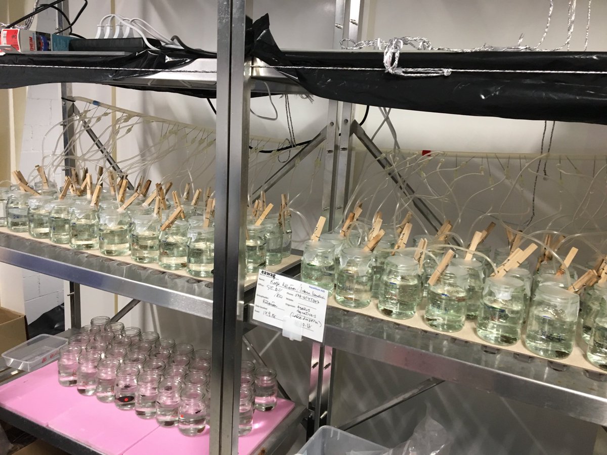 Räsänen Katja 🇺🇦 🇫🇮 tweet media