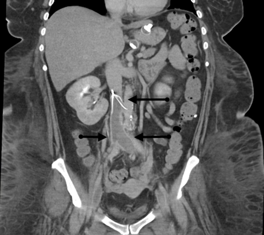 Raja Ramaswamy, MD tweet media