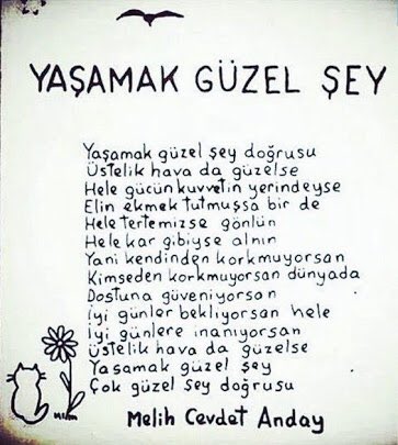 aydinermurat's tweet photo. https://t.co/g4swXfhlnV