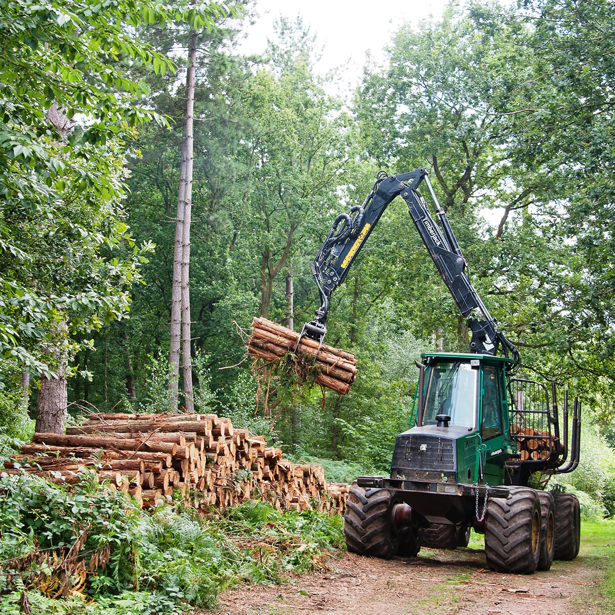 NatForestCo's tweet image. We’re recruiting! Want to help create vibrant working woodlands, supporting community groups and businesses to make the most of the National Forest? Find out about two new posts here: nationalforest.org/about/who-we-a… #OurNationalForest