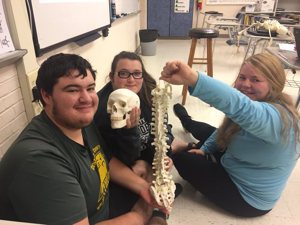 HeidiCSmith91's tweet photo. Anatomy &amp; Physiology students building the vertebral column. @MrJasonDodson #cchslearners https://t.co/qRHolvVgyf