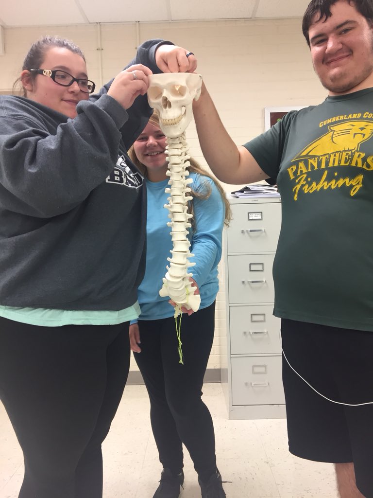 HeidiCSmith91's tweet photo. Anatomy &amp; Physiology students building the vertebral column. @MrJasonDodson #cchslearners https://t.co/qRHolvVgyf