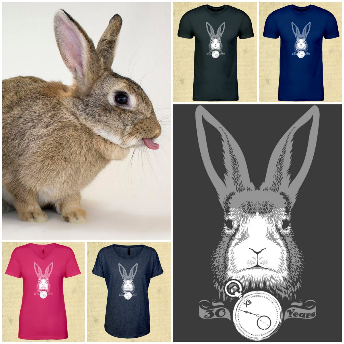 House Rabbit Society (Houserabbit) Twitter