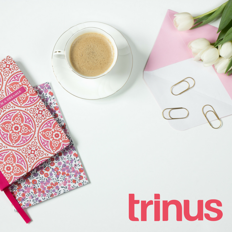 TrinusChile's tweet image. ¡No te olvides de llevar a Trinus en tu viaje! 🌍😍 hubs.ly/H0dFJnX0