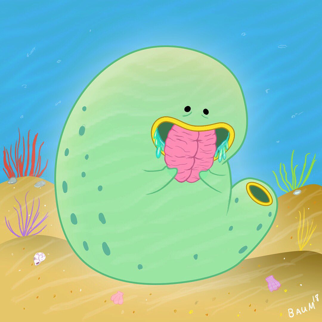 wizardbaum's tweet image. Meet the Sea Squirt: the sea squirt finds a home as a tad pole; it will never leave that spot, because  the sea squirts lacks mobility, it eats its own brain. Don’t be a Sea Squirt, be active! 🧠🧗‍♂️ 
#seasquirt #ocean  #doodle #cartoon #drawing #uglycute  #art