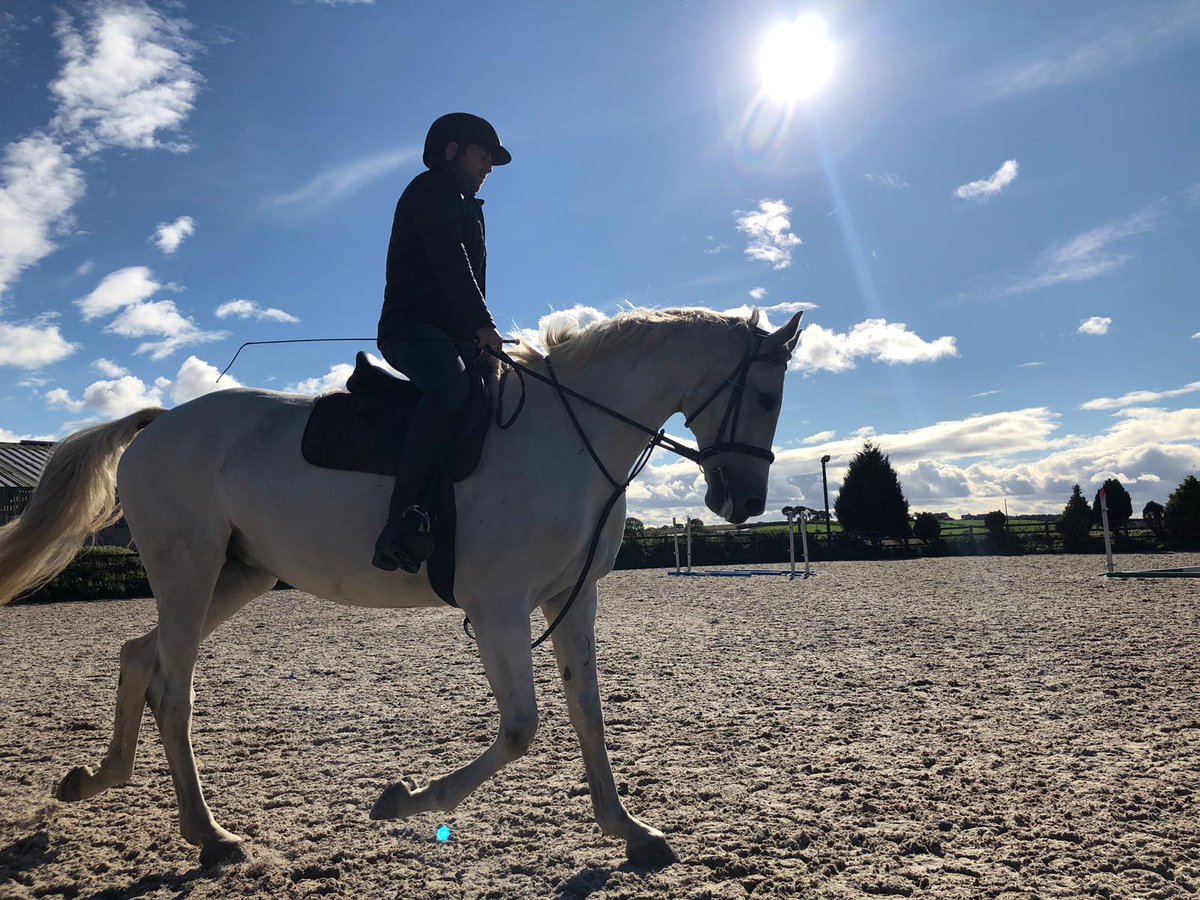 RikRankin's tweet photo. Bianca doing well after returning from rest 😊 🐴 https://t.co/Fw1B02bPD3