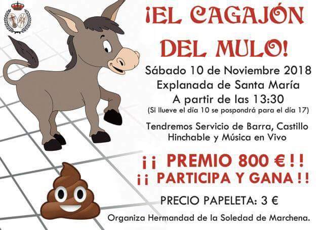 Hda Soledad Marchena (@soledadmarchena) on Twitter photo 