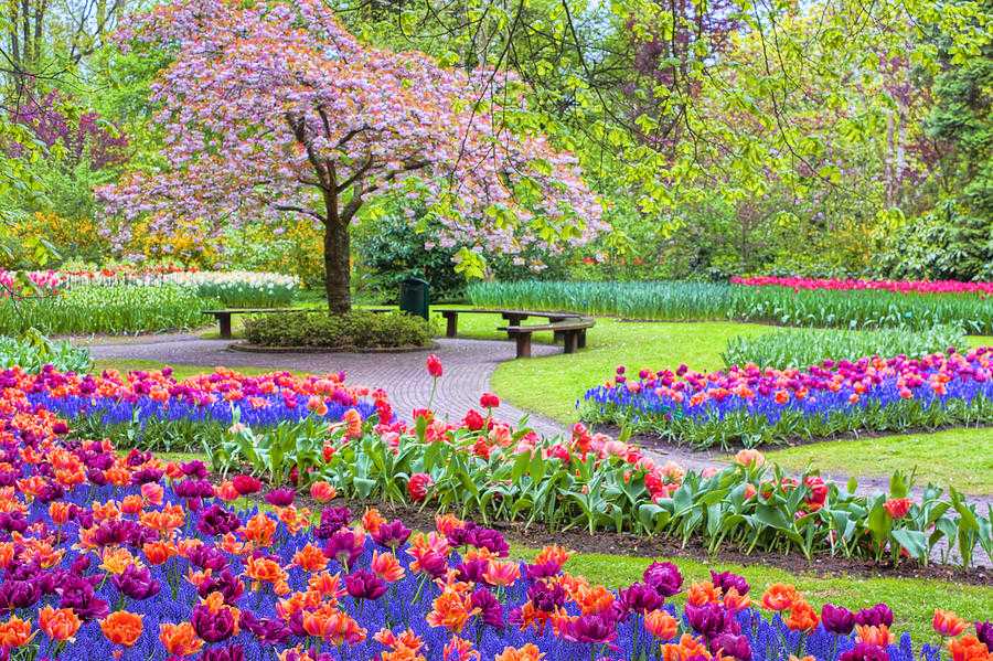 Payel samanta (@payelsa81714870) on Twitter photo 