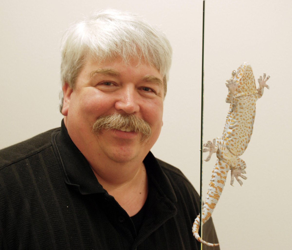 Prof. Full will be presenting "i4’s Toward Tomorrow Program: Bioinspired Design Realized by Creativity, Collaboration, and Connection" as part of the Graduate School of Education/SESAME Colloquium series on  Monday, 9/242018, from 4:00 to 5:30 in Room 1215, 2121 Berkeley Way.
