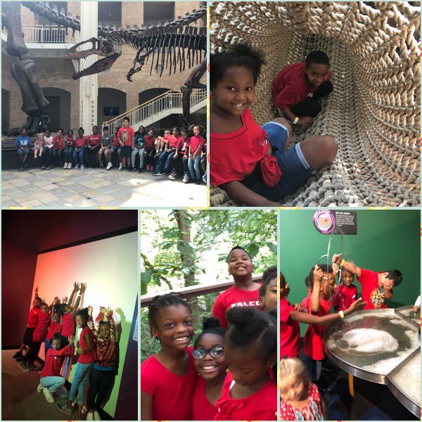 Mrs. Bruce's Program Challenge tweet media