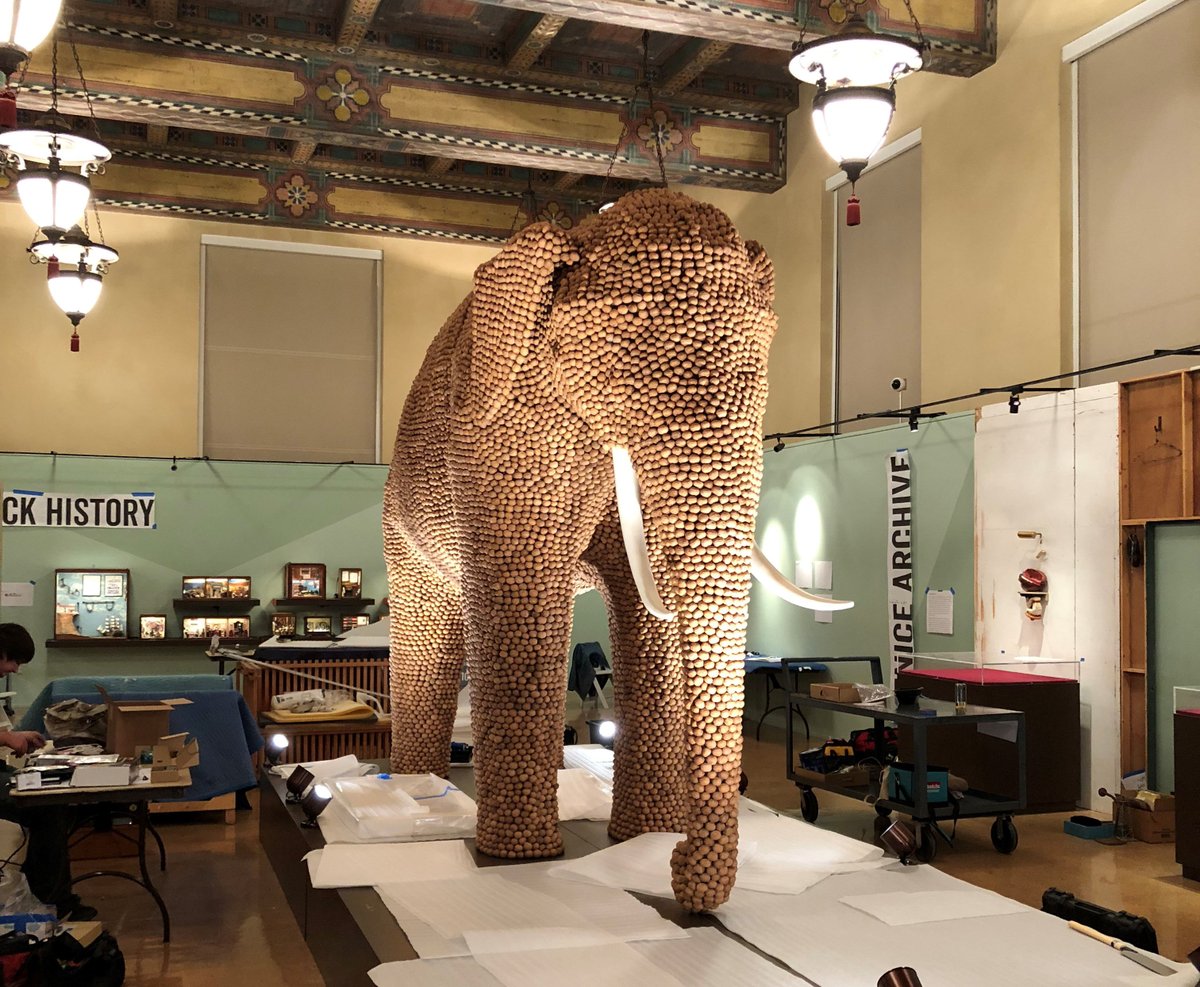 AndersenWalnuts's tweet photo. There’s an Elephant in the Room! Visit the Los Angeles Central Library between September 28th – January 27th to see the comeback of the life sized elephant fashioned in @AndersenWalnuts. We’re happy to donate to help the exhibit tell their story. #cawalnuts https://t.co/gSnouWLxWI