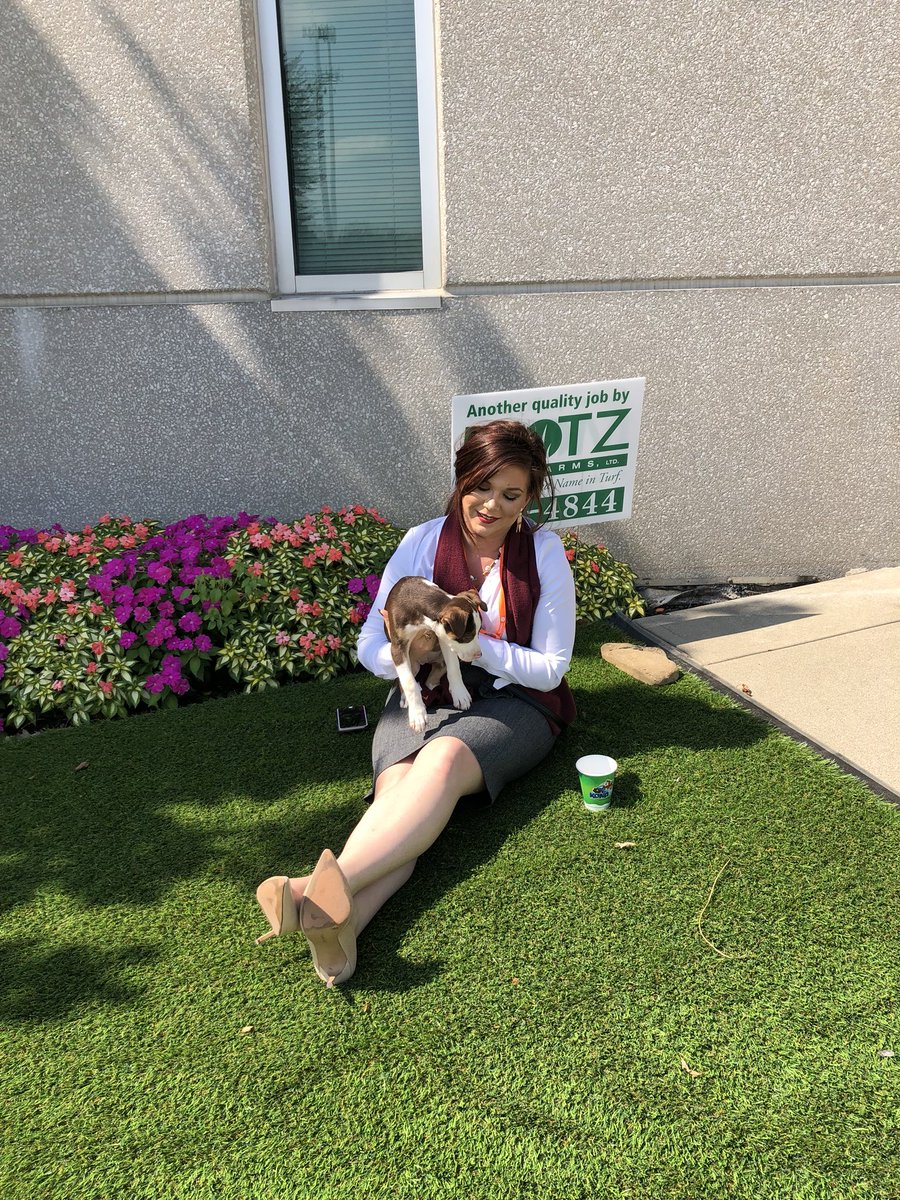 VehrComm's tweet image. There were puppies. Available for adoption.

Talk about a great #CX for a conference that’s *about* #CX!

Well done, @AMACincinnati! #AMAIgnite