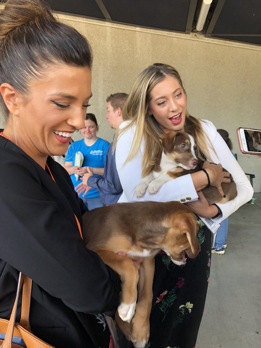 VehrComm's tweet image. There were puppies. Available for adoption.

Talk about a great #CX for a conference that’s *about* #CX!

Well done, @AMACincinnati! #AMAIgnite