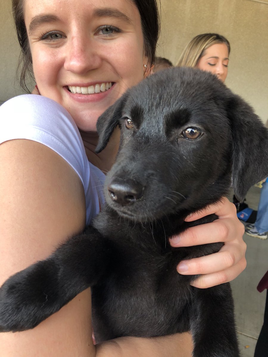 VehrComm's tweet image. There were puppies. Available for adoption.

Talk about a great #CX for a conference that’s *about* #CX!

Well done, @AMACincinnati! #AMAIgnite