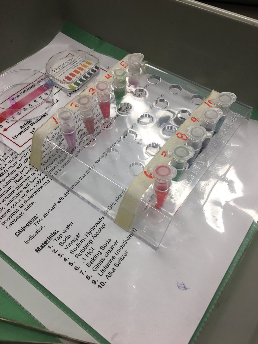 MrsDOrozco's tweet image. Students compare pH paper and cabbage juice as acid base indicators, then create their own scale using tested substances in Biology. Nice colors!  #MTPSPride #MTPSsci