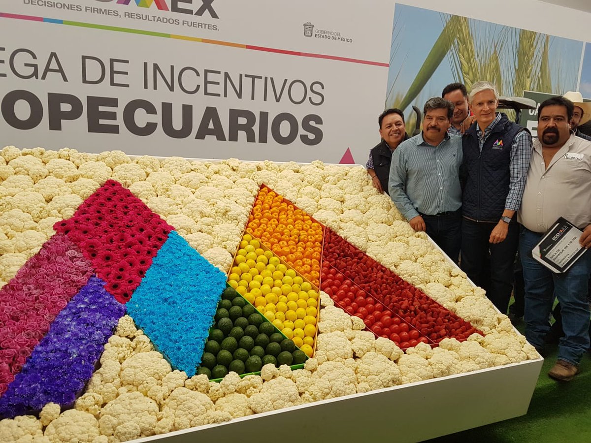 ConEsequiel's tweet photo. Calidad mexiquense en chile, haba, aguacate, gerbera
#1erInformeEdoméx
#EscucharParaGobernar 
#YoSoyICAMEX
#IdeasFirmesInvestigadoresFuerte
@alfredodelmazo https://t.co/lgGa4fI6cU