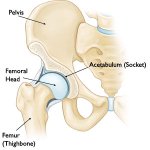 Photo by Professional Soccer Physicians' Society (@PspsThe)