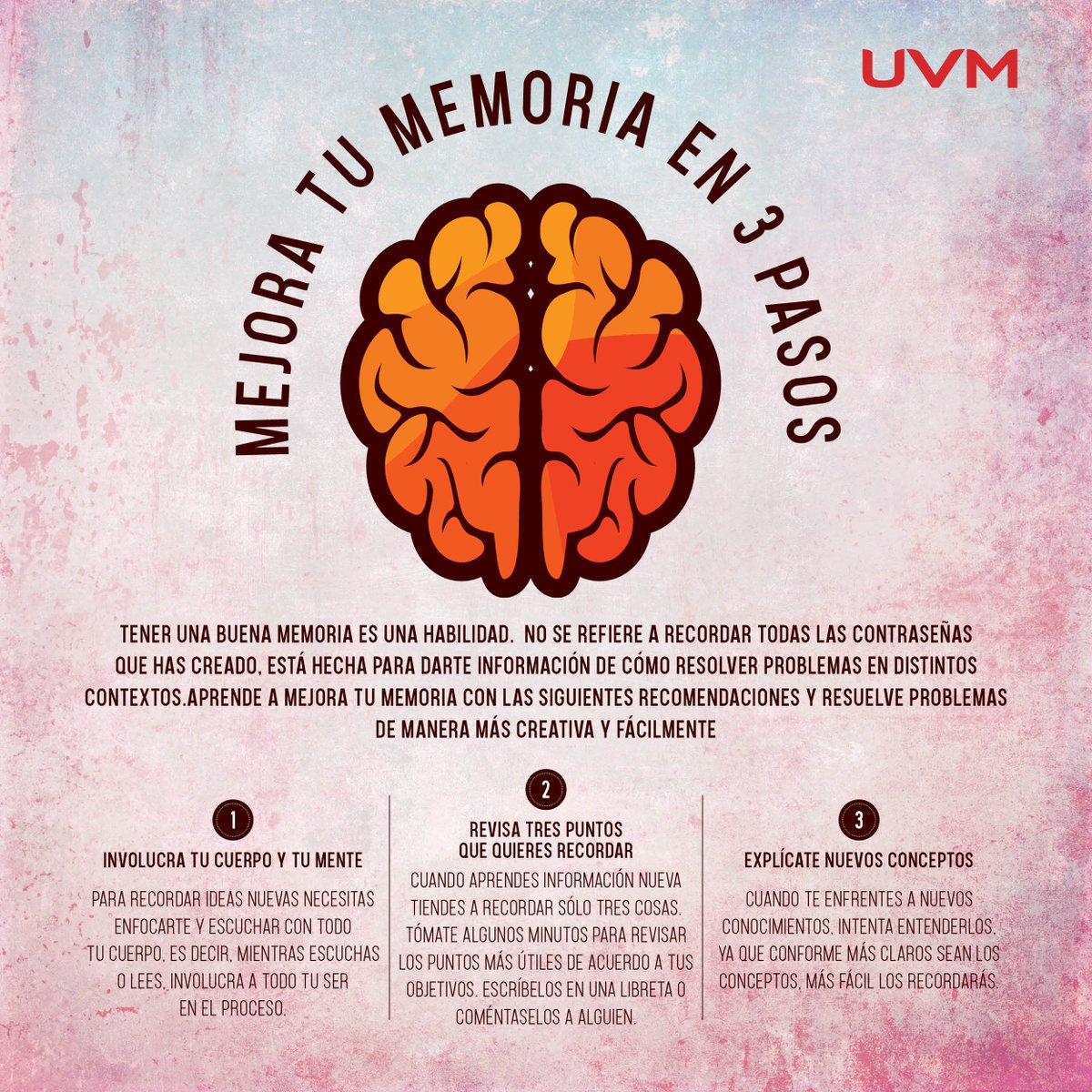 UVM on Twitter: "Checa estos tips para estimular tu memoria:  https://t.co/DmcpbWuNPH" / Twitter