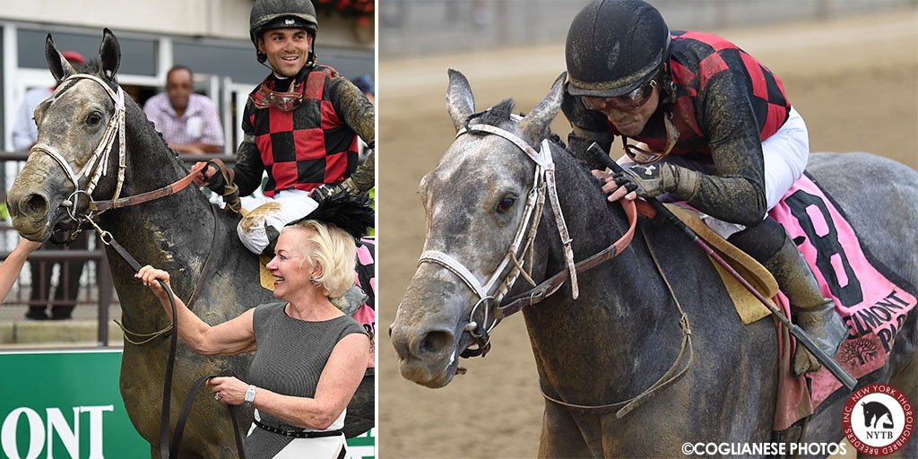 nytbreeders's tweet photo. Frosted Ice is best by far in Bertram F. Bongard - @HuttAdams homebred iced the competition in today's #BelmontPark feature: https://t.co/RzO2vSf4JC https://t.co/Xgv0fY1SyI
