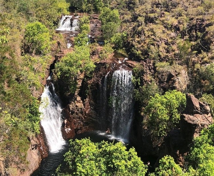You will get the chance to take a peek at the beautiful plunge pool from the Florence Falls Lookout before making your way down the 160 stairs to the swimming area. 
#aatkings #smilekings #florencefalls