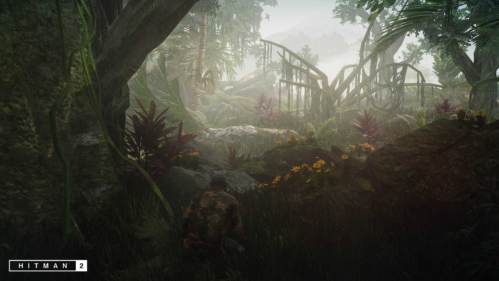 Dnp1hyqVsAAaBn5.jpg:large