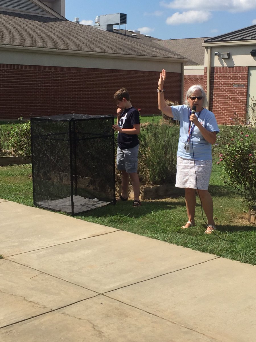 MrsMadden2nd's tweet photo. #byebyebutterfly @GlaweAnne did a great job helping release our monarchs to migrate to Mexico! 🦋🧡 https://t.co/2hcDQLCMxL