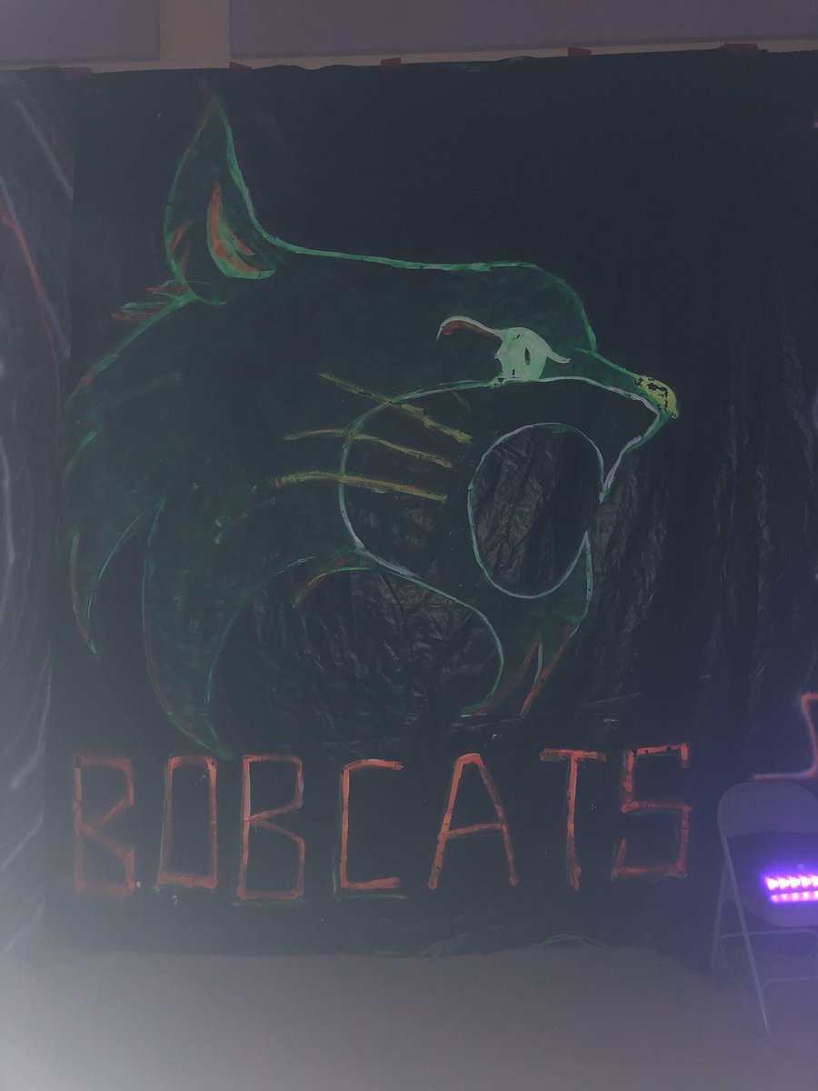 PBobcats's tweet image. #Glowwiththeflow
