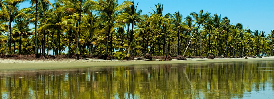 EcuadorBeaches's tweet photo. Mompiche Beach Dusk in ESMERALDAS. See more beaches : https://t.co/K07mQJfouj https://t.co/tKp5l50wDY