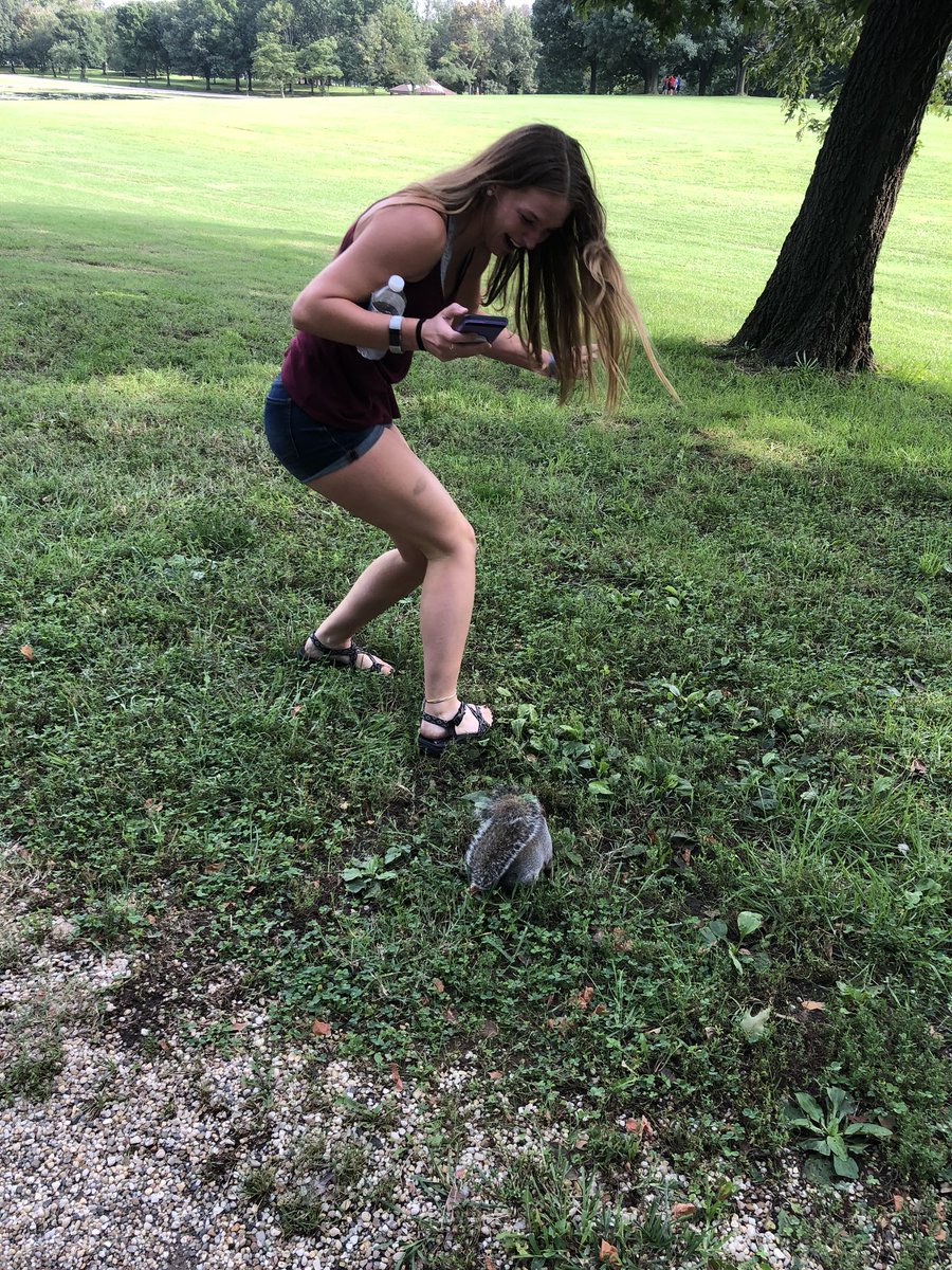 _tfisher's tweet image. pure happiness when I touched this squirrel