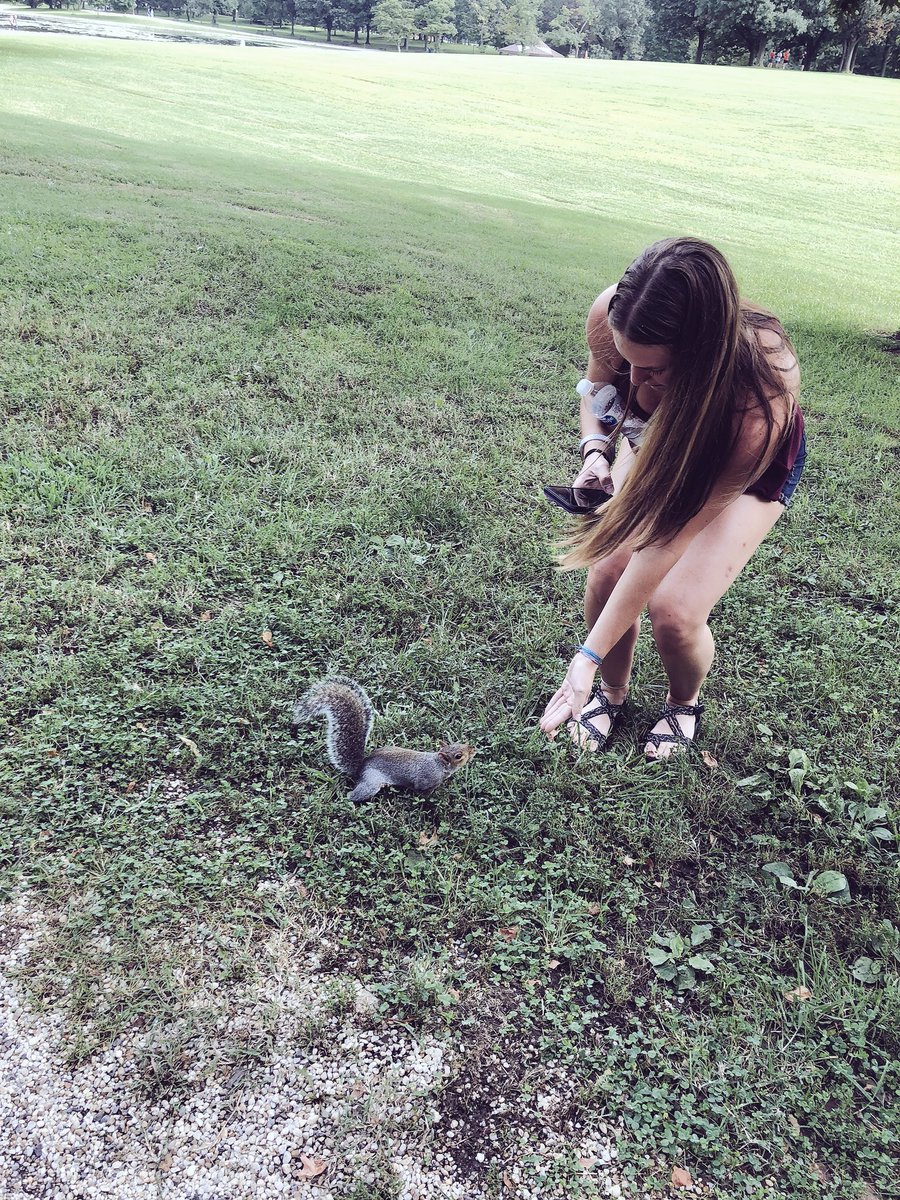 _tfisher's tweet image. pure happiness when I touched this squirrel